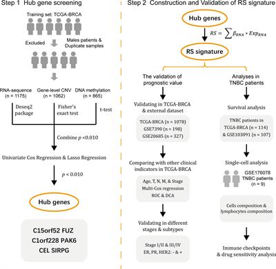 Construction of a prognostic 6-gene signature for breast cancer based on multi-omics and single-cell data